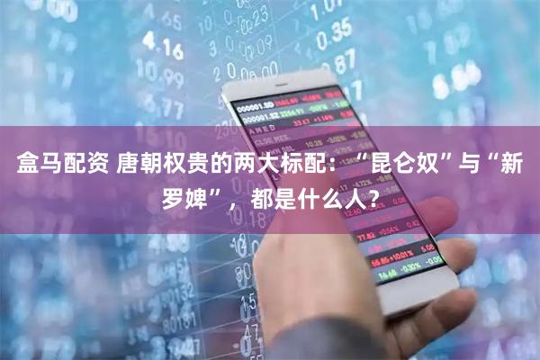 盒马配资 唐朝权贵的两大标配：“昆仑奴”与“新罗婢”，都是什么人？