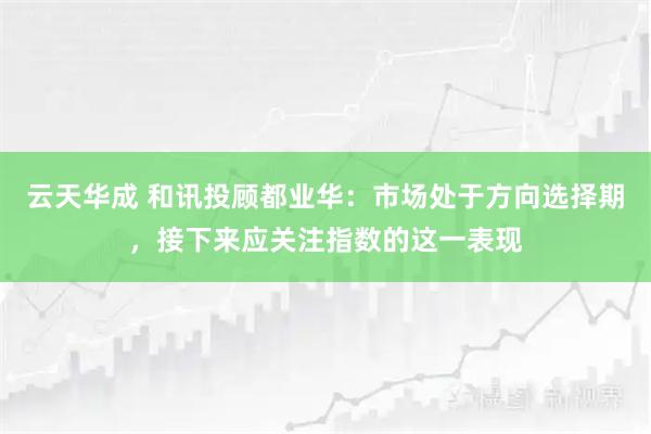 云天华成 和讯投顾都业华：市场处于方向选择期，接下来应关注指数的这一表现