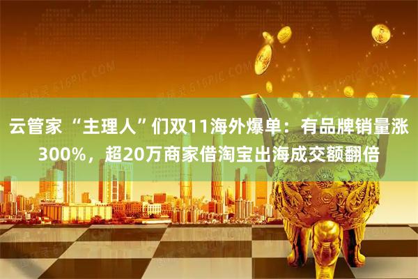 云管家 “主理人”们双11海外爆单：有品牌销量涨300%，超20万商家借淘宝出海成交额翻倍